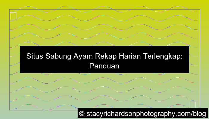 situs sabung ayam rekap harian