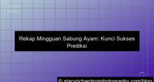 ilustrasi situs sabung ayam rekap mingguan