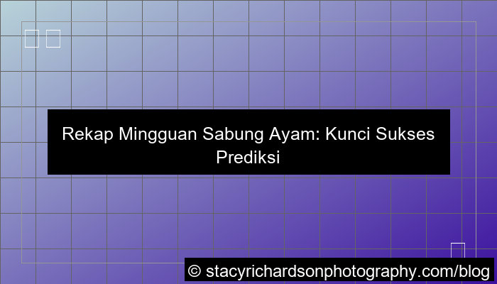 ilustrasi situs sabung ayam rekap mingguan