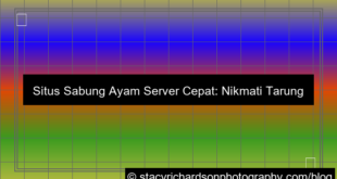 desain situs sabung ayam server cepat