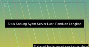 situs sabung ayam server luar