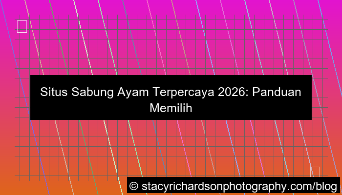situs sabung ayam terpercaya 2026