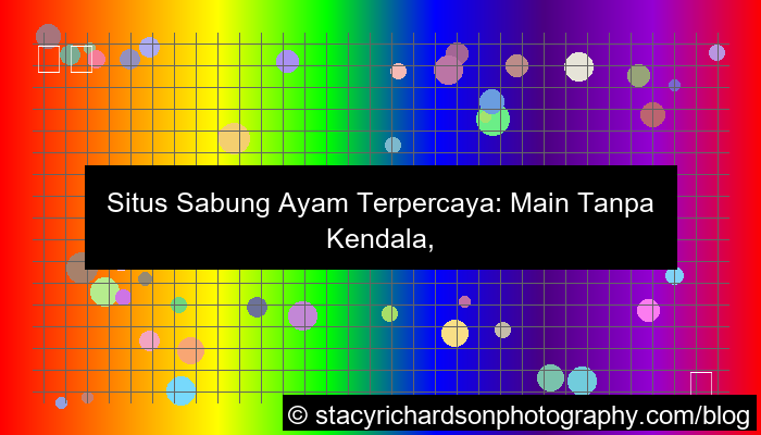 situs sabung ayam terpercaya tanpa kendala