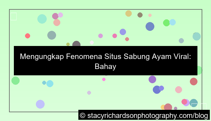 desain situs sabung ayam viral