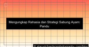 visual strategi sabung ayam
