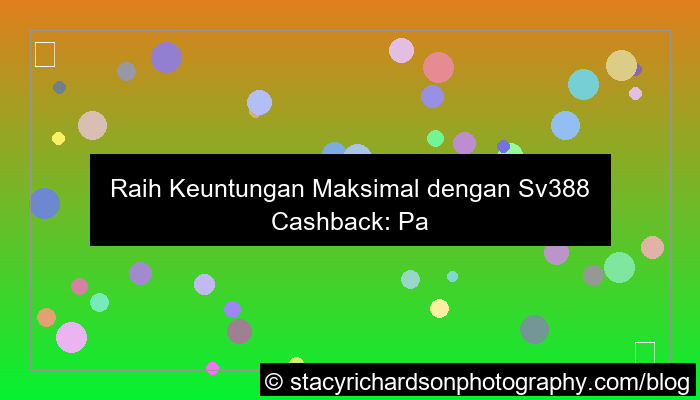 grafik sv388 cashback