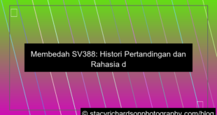 sv388 histori pertandingan