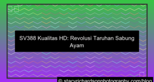 desain sv388 kualitas hd