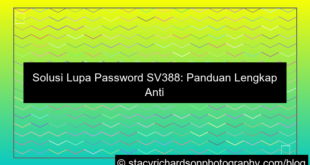 visual sv388 lupa password