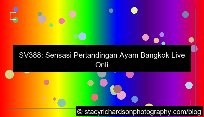desain sv388 pertandingan bangkok