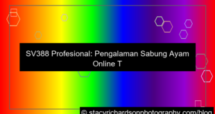 visual sv388 profesional