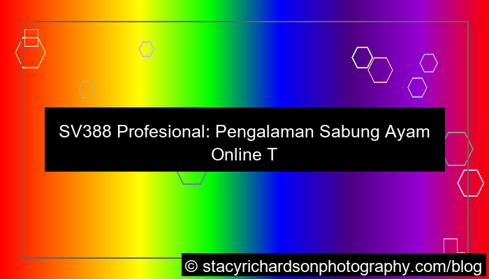 visual sv388 profesional