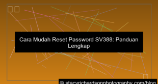 visual sv388 reset password