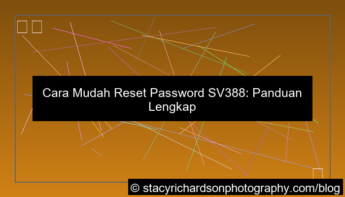 visual sv388 reset password