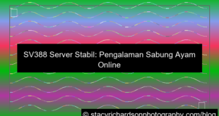 sv388 server stabil