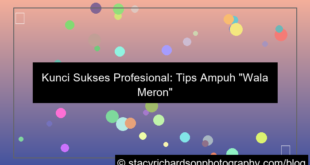 desain tips profesional wala meron