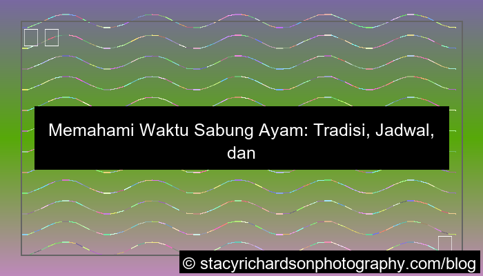 grafik waktu sabung ayam