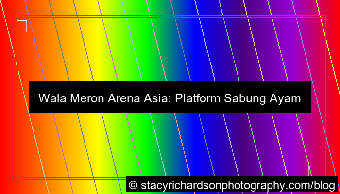 grafik wala meron arena asia