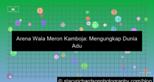 visual wala meron arena cambodia