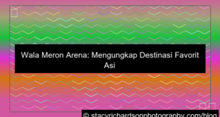 desain wala meron arena favorit asia