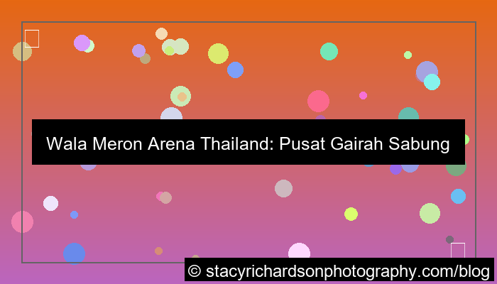 grafik wala meron arena thailand