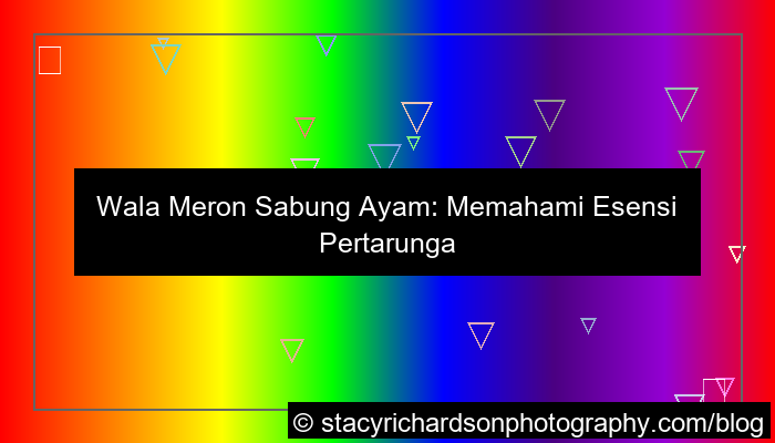 wala meron dalam pertandingan sabung ayam