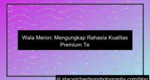 visual wala meron kualitas premium terbaik