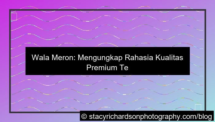 visual wala meron kualitas premium terbaik