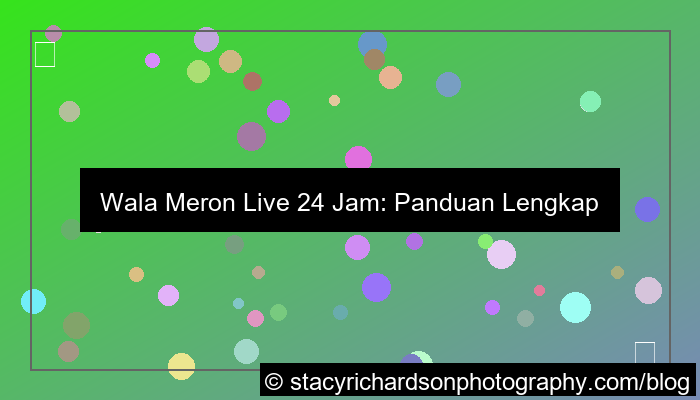 visual wala meron live 24 jam
