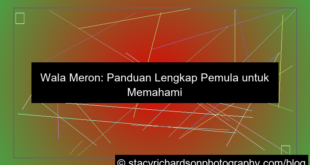 wala meron panduan lengkap pemula
