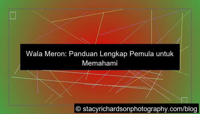 wala meron panduan lengkap pemula