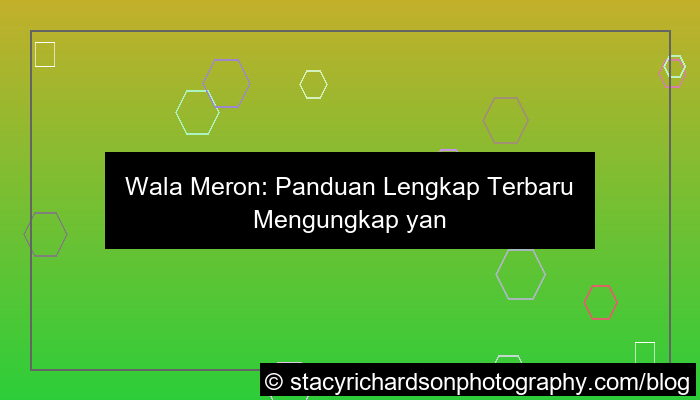desain wala meron panduan lengkap terbaru