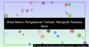 gambar wala meron pengalaman terbaik