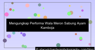 wala meron performa cambodia hari ini