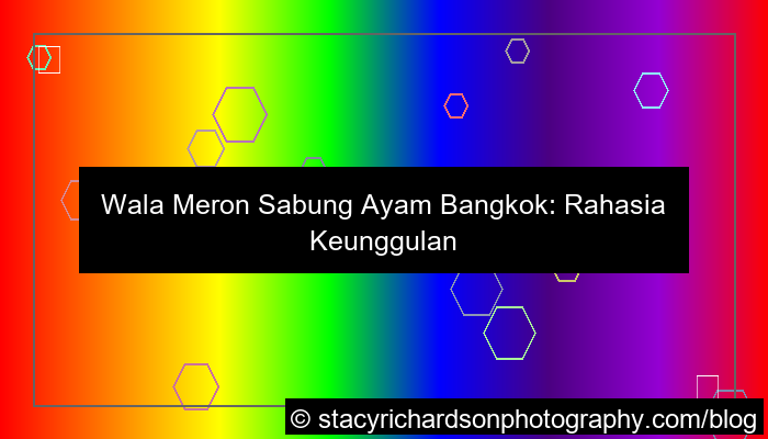 visual wala meron sabung ayam bangkok