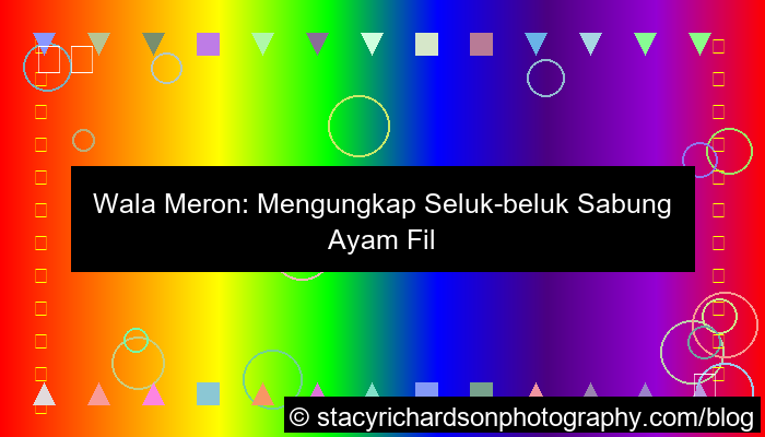 desain wala meron sabung ayam filipina