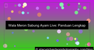 ilustrasi wala meron sabung ayam live