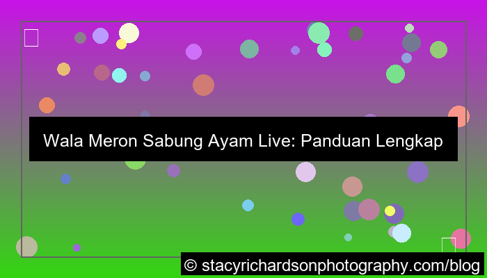 ilustrasi wala meron sabung ayam live