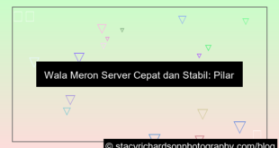 desain wala meron server cepat dan stabil