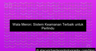 wala meron sistem keamanan terbaik
