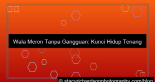 desain wala meron tanpa gangguan