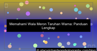 ilustrasi wala meron taruhan warna