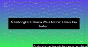 visual wala meron teknik pro terbaru