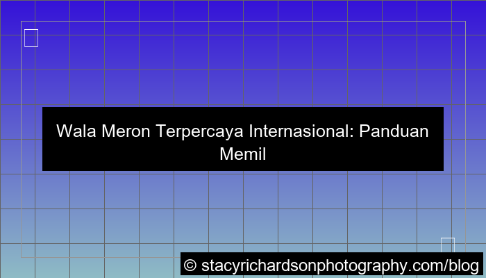 wala meron terpercaya internasional