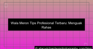 wala meron tips profesional terbaru