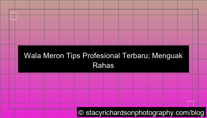 wala meron tips profesional terbaru