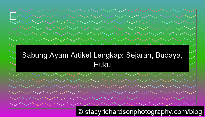 sabung ayam artikel lengkap