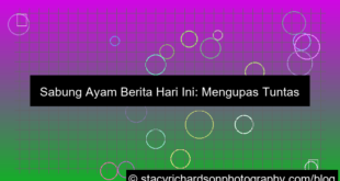 gambar sabung ayam berita hari ini