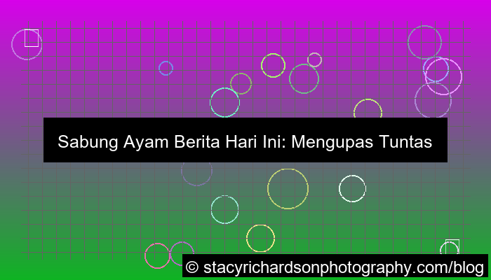 gambar sabung ayam berita hari ini