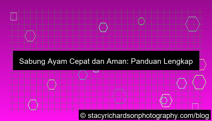 gambar sabung ayam cepat dan aman